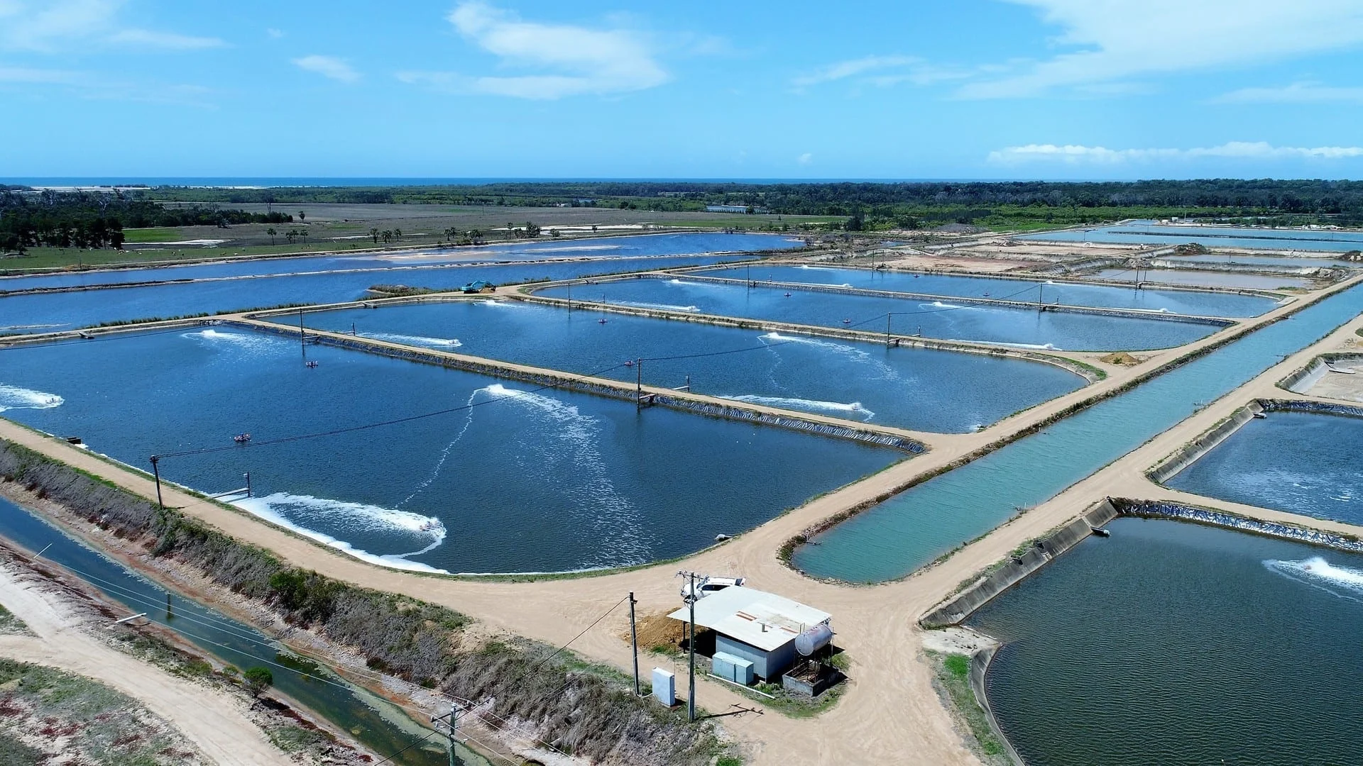 Ocean Net Industry