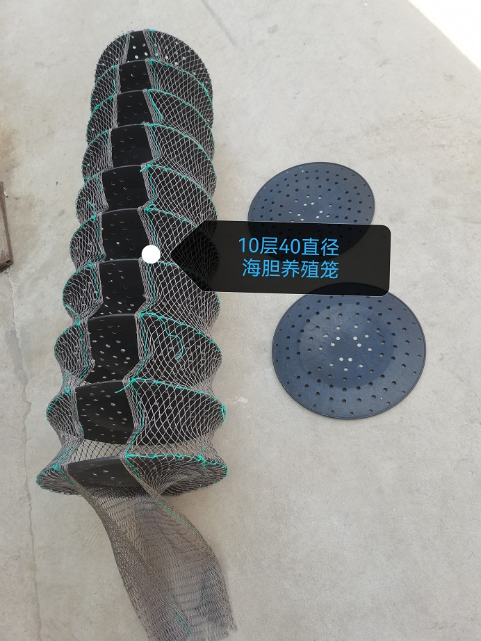 Sea Urchin Farming Cage