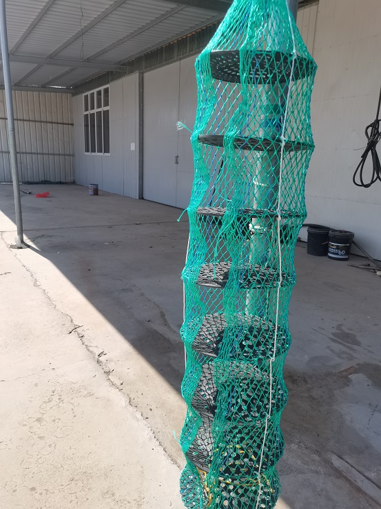 Oyster Farming Cage